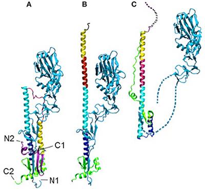 Computational Ways to Enhance Protein Inhibitor Design